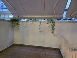 The Shaughnessy (D27), Terrace #571568461